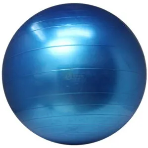 Home New 22 King Lion 75cm Gym Ball Imported Anti Burst