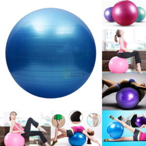 King Lion 75cm Gym Ball Imported Anti Burst features