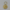 bitcoin keychain back